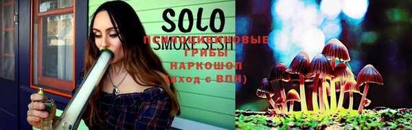 стаф Аркадак