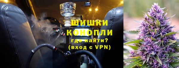 стаф Аркадак