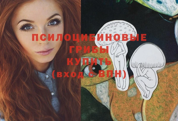 mdpv Арсеньев