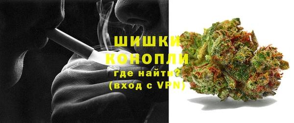 стаф Аркадак