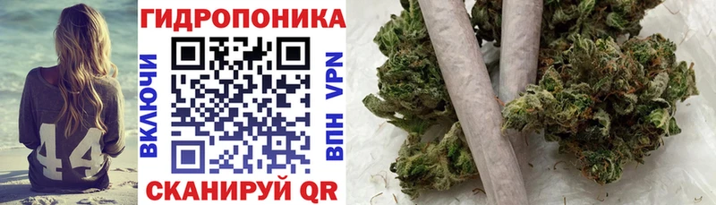 купить  сайты  Вичуга  Бошки марихуана гибрид 